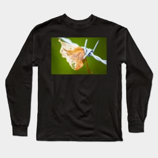 What the wind did Long Sleeve T-Shirt